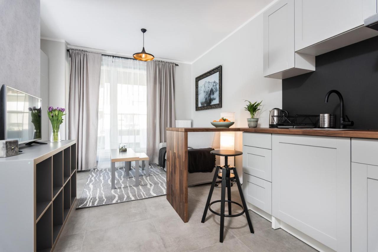Apartment Slusarska 1